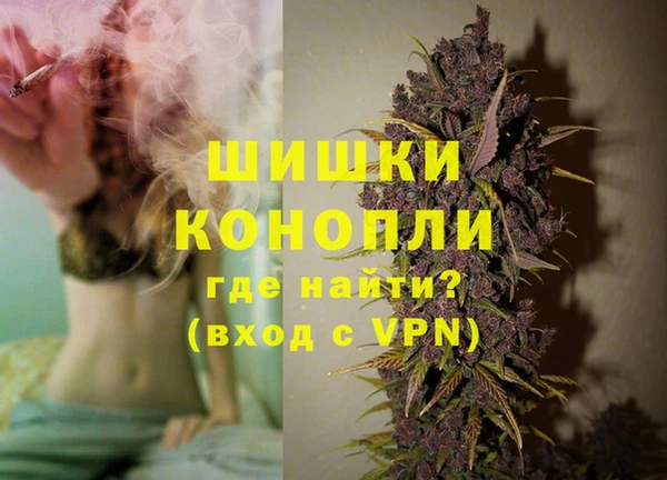 PSILOCYBIN Белокуриха